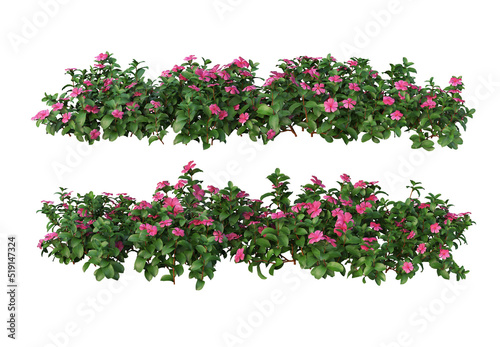 Shrubs and flowering plants on a white background © jomphon