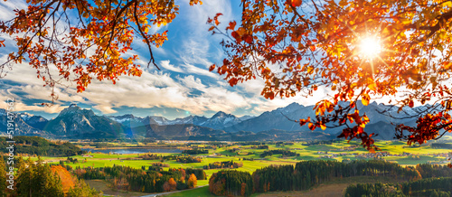 panoramic landscape at autumn with tree and mountain photo