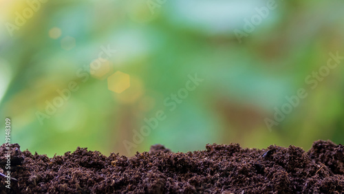 soil morning light and green nature natural bokeh background growth new life ecological and earth day concept