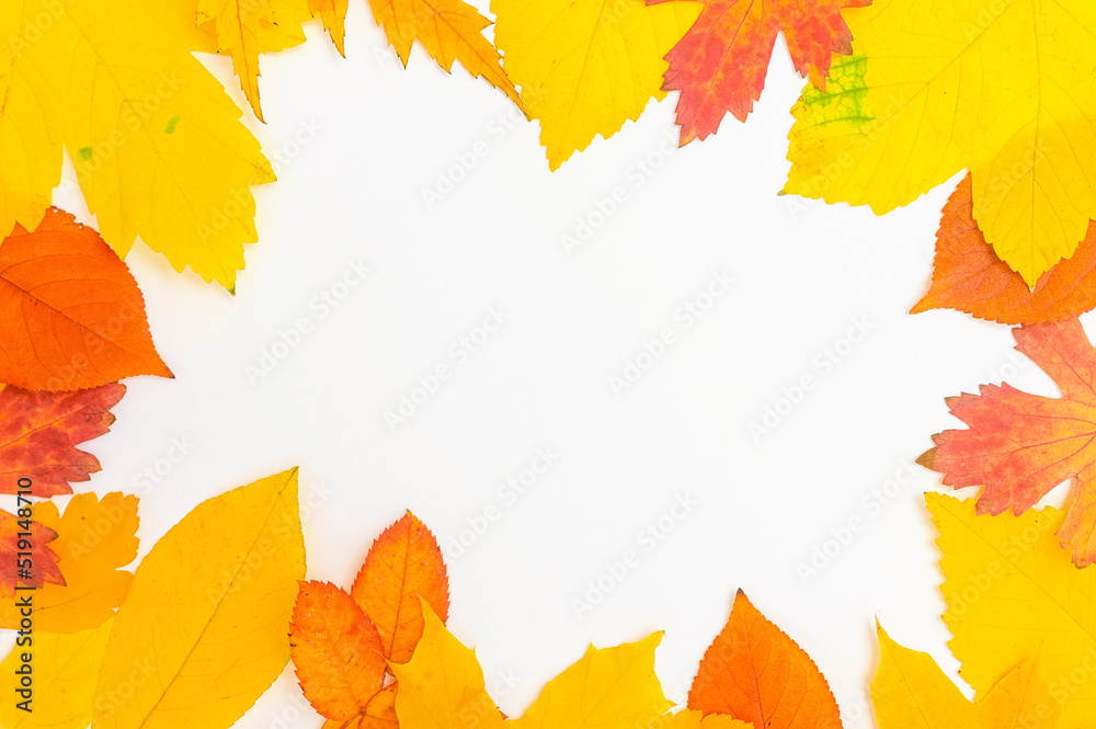 frame of yellow and orange autumn leaves on a white background, copy space in the center frame of yellow and orange autumn leaves on a white background, copy space in the center