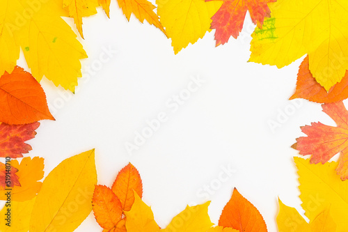 frame of yellow and orange autumn leaves on a white background  copy space in the center