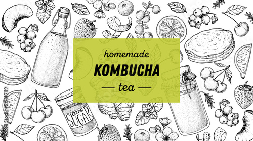 Kombucha tea and ingredients for kombucha sketch. Hand drawn vector illustration. Kombucha drink. Tea mushroom, tea fungus, or Manchurian mushroom.