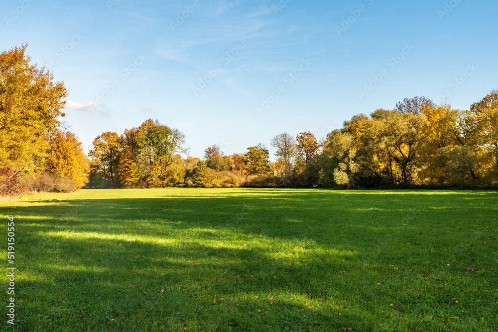Meadow with colorful trees around during beautiful autumn day in CHKO Poodri in Czech republic