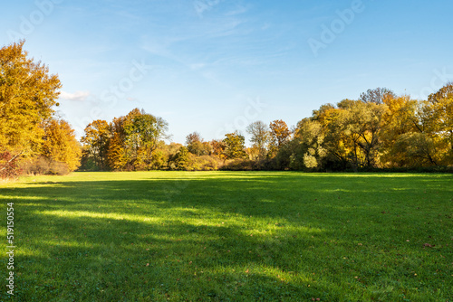 Meadow with colorful trees around during beautiful autumn day in CHKO Poodri in Czech republic