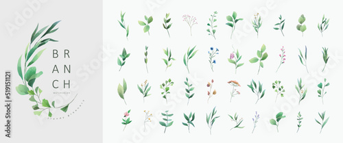 Set of luxury green leaves and flowers elements in watercolor style. Aquarelle trendy greenery branches and blooming. Vector isolated on white background for Invitation, greeting