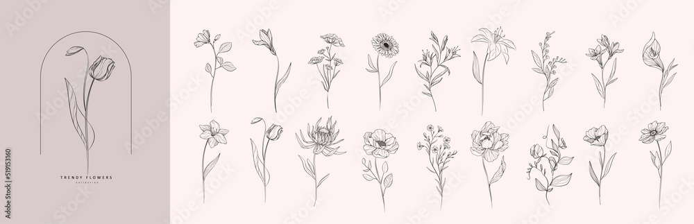 Set of luxury flowers and logo. Trendy botanical elements. Hand drawn line leaves branches and blooming. Wedding elegant wildflowers for invitation save the date card. Vector Set of luxury flowers and logo. Trendy botanical elements. Hand drawn line leaves branches and blooming. Wedding elegant wildflowers for invitation save the date card. Vector