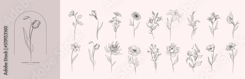 Fotografiet Set of luxury flowers and logo