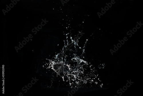 water splash black background backdrop fresh