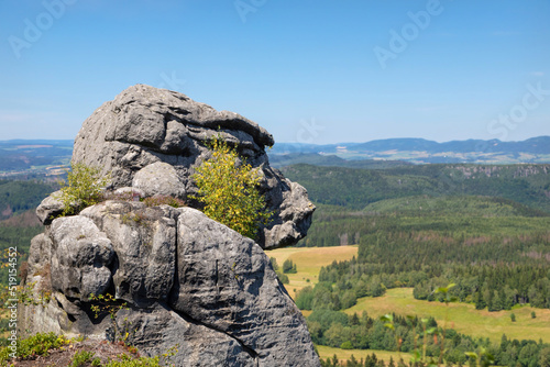 Ape rock on Szczeliniec Wielki -  at Table Mountains, Sudetes, Poland