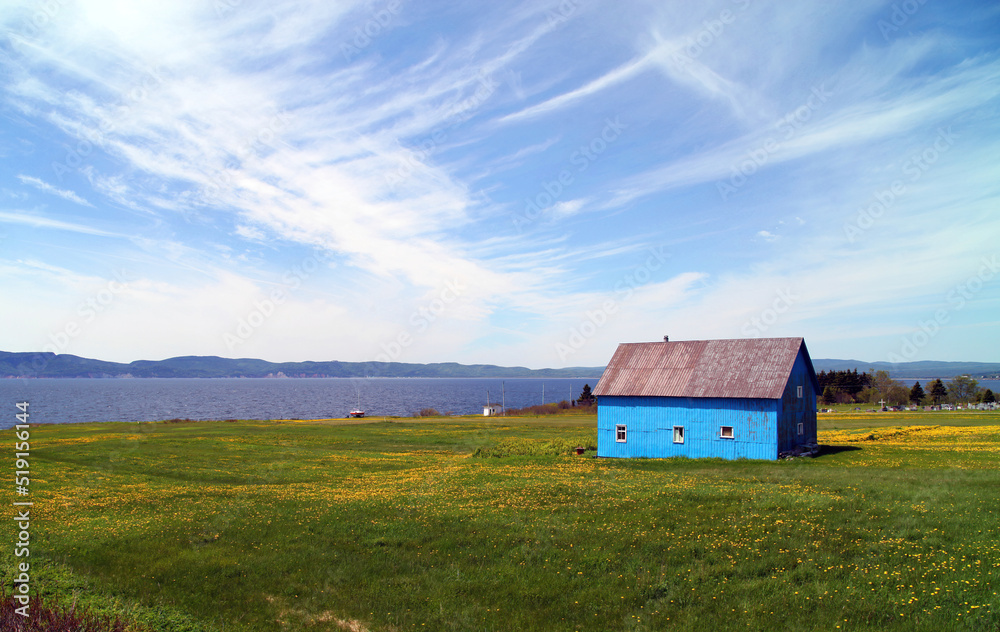 Obraz premium Blue agricultural building in dandelion filled pasture land, Gaspé Peninsular, Quebec Canada 