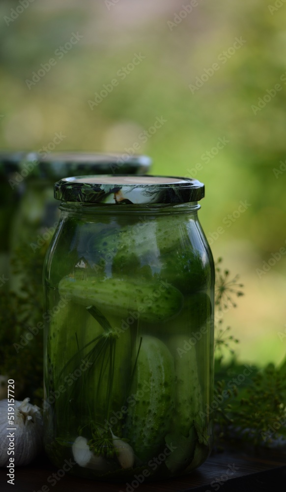 Jars of pickled cucumbers, fermented cucumbers, pickles, dill, garlic, horseradish and herbs. Jars of pickled cucumbers, fermented cucumbers, pickles, dill, garlic, horseradish and herbs.