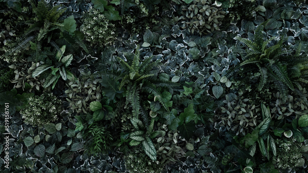 Creative nature leaves background, tropical leaf banner or floral jungle pattern concept. Creative nature leaves background, tropical leaf banner or floral jungle pattern concept.