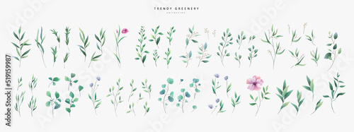 Set of luxury green leaves and flowers elements in watercolor style. Aquarelle trendy greenery branches and blooming. Vector isolated on white background for Invitation, greeting