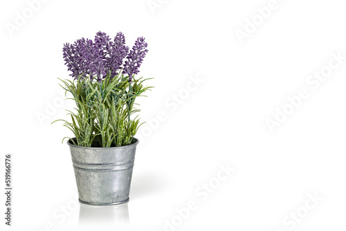 Lavender in a metal bucket isolated on a white background. Copy space.