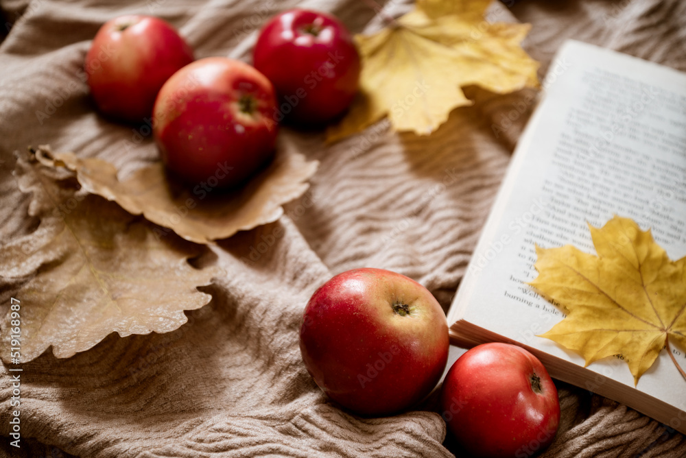 Red apples laying near open book with yellow maple lead as bookmark