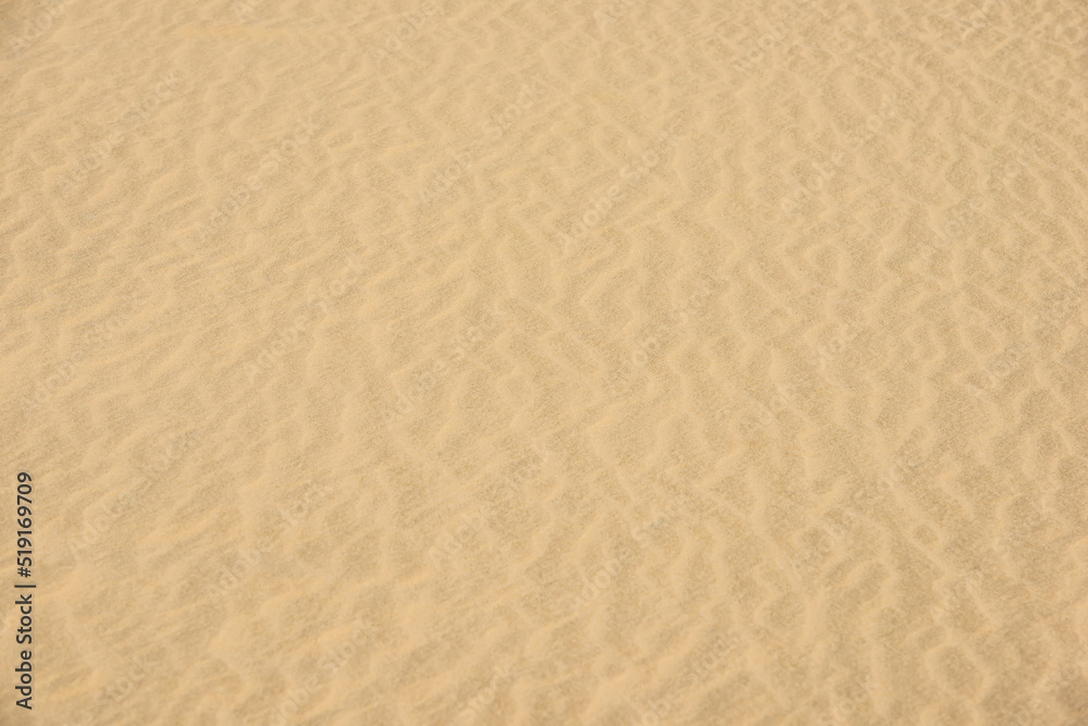 Wind-blown sand surface. Wind-blown sand surface.