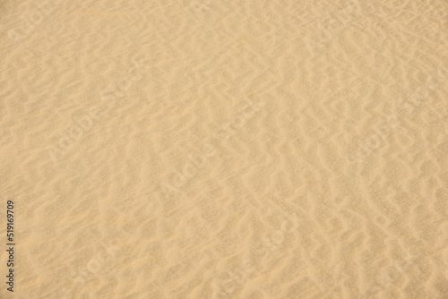 Wind-blown sand surface.