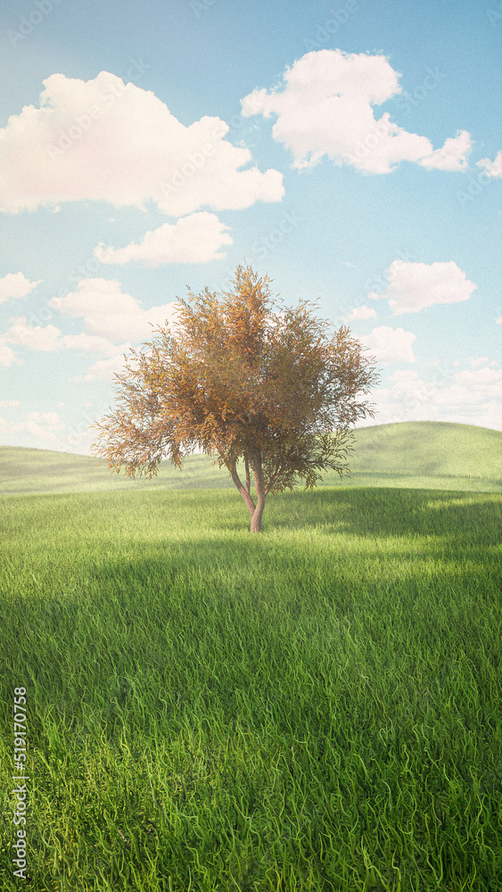 Fototapeta premium Lonely tree