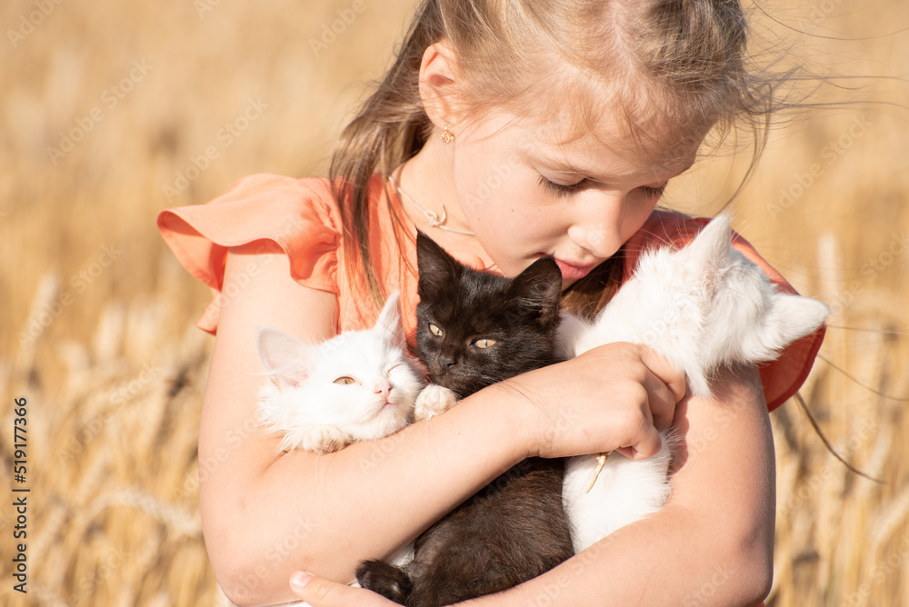 Portrait of smiling and pretty kid girl holding three kittens and stands in wheat field, summer photo Portrait of smiling and pretty kid girl holding three kittens and stands in wheat field, summer photo