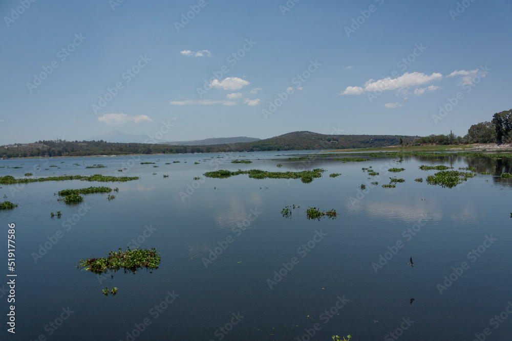 Fototapeta premium lilies on the water surface lake surrounded by mountains