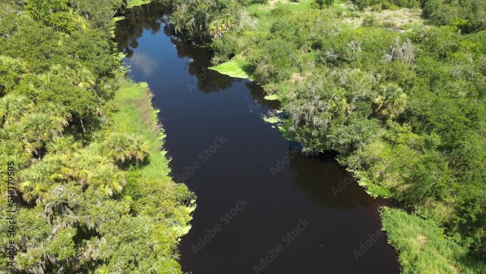 Flying North away from Alligator Bridge, over Myakka River State Park. Near Sarasota, Florida. Abundant wildlife sanctuary with alligators, deers, snakes and wild hogs Flying North away from Alligator Bridge, over Myakka River State Park. Near Sarasota, Florida. Abundant wildlife sanctuary with alligators, deers, snakes and wild hogs