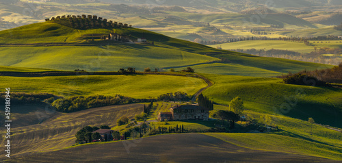 Tuscany landscape panorama at sunrise, Val d'Orcia, Italy