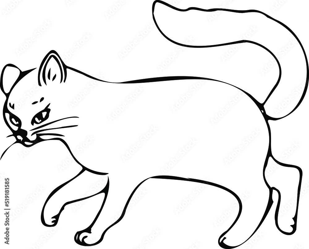 Cat doodles in abstract hand drawn style, black and white line art vector illustration.Doodle style cat.Day of the cat.
