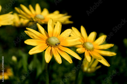 De Rome à Londres en partant de Genève, paysage, construction & architecture, nautisme, bateau et nature sauvage.