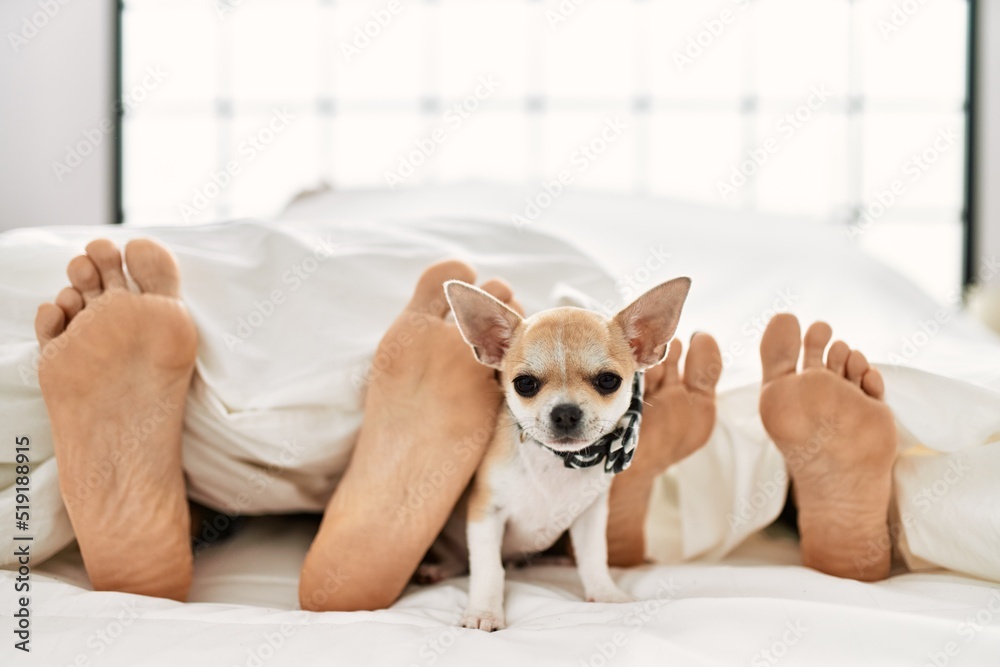 Couple feet and dog on bed.