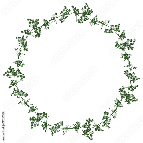 Wallpaper Mural Floral wreath from silhouettes umbrella plants Torontodigital.ca