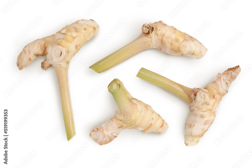 Fresh galangal root isolated on white background with full depth of field. Top view. Flat lay Fresh galangal root isolated on white background with full depth of field. Top view. Flat lay