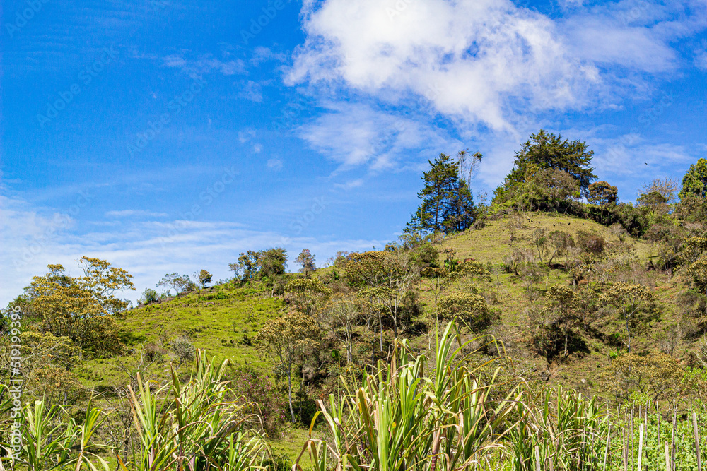 Fototapeta premium mountain