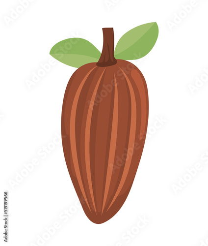 cacao nature icon