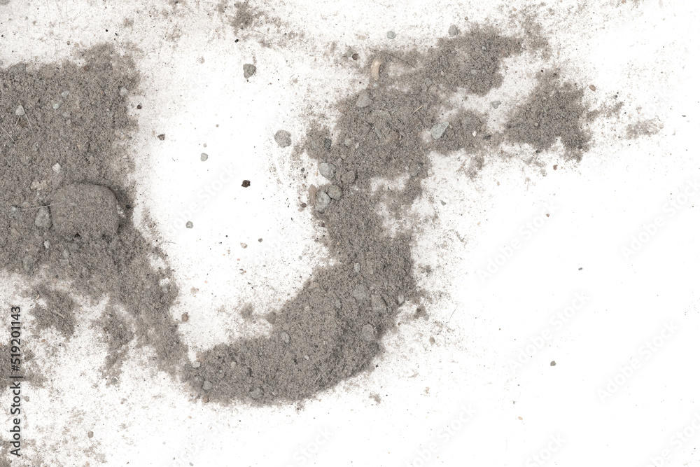 Fototapeta premium Contents vacuum cleaner garbage, trash, dust, animal hair isolated white background. close-up