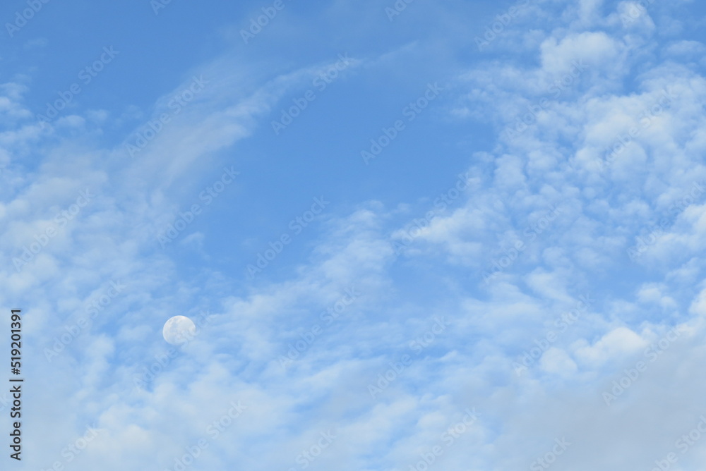 The moon in clear sky. The moon in clear sky.
