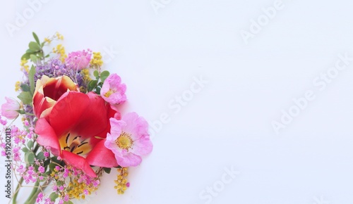 Spring flower arrangement with a red tulip. Bright light flowers. Background for a greeting card.