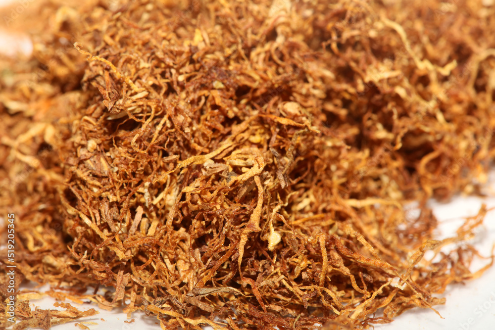 Smoking rolled tobacco leaves close up modern background high quality big size prints Smoking rolled tobacco leaves close up modern background high quality big size prints