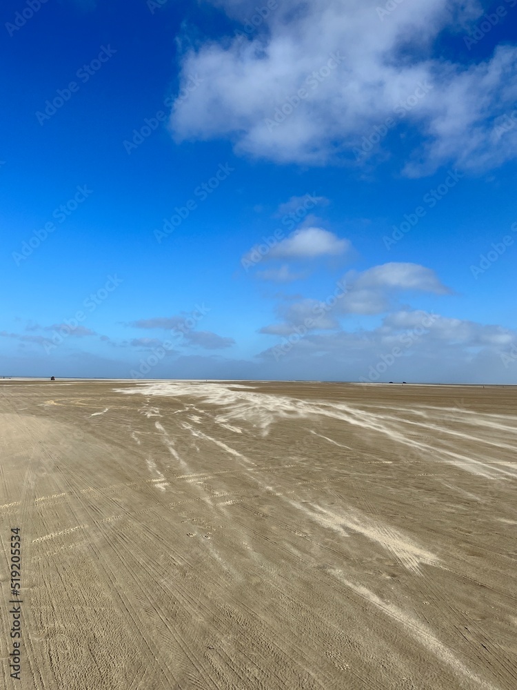 Fototapeta premium Empty sandy beach on the north sea, windy weather