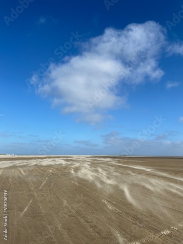Empty sandy  beach on the north sea  windy weather