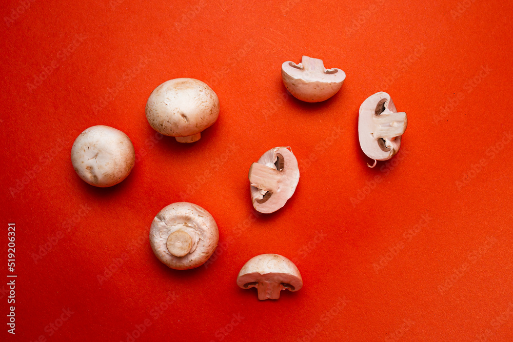 porcini mushrooms on a red background top view porcini mushrooms on a red background top view
