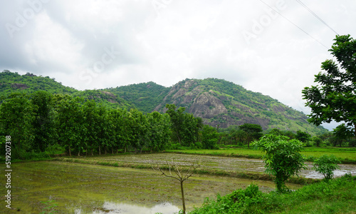 The Freshness of greenery Hill view of daringbadi of Odisha