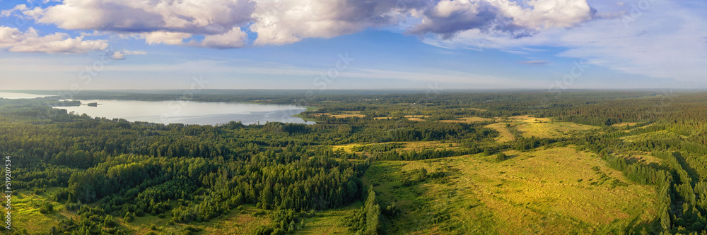 Green fields and dark forest aerial panoramic view