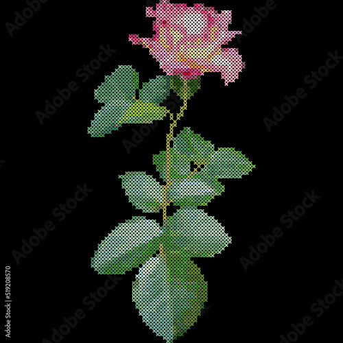 Cross stitch rose flower. Floral embroidery pattern, vector illustration