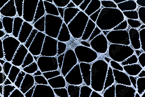 Abstract white net background