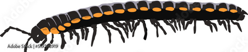 Black and yellow caterpillar isolated on white background in realistic style. tropical insects