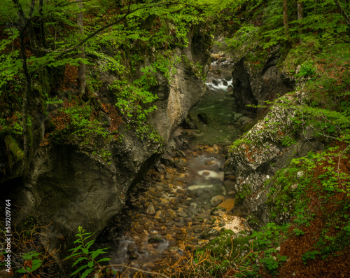 Mostnica small river with color surroundings in Slovenia mountains
