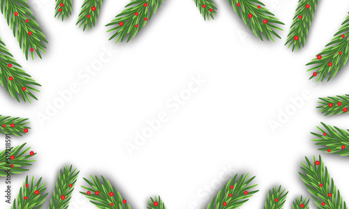 Fir branches on a white background. Christmas template vector
