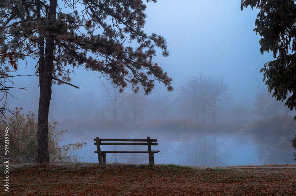 Dark autumn landscape showing bench beside pond on a misty morning Dark autumn landscape showing bench beside pond on a misty morning