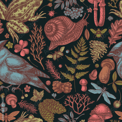 Mysterious forest seamless pattern background design. Engraved style. Hand drawn waxwing, snail, pool frog, moss, spruce branch, pine cones, mushrooms, insect, porcini, oak, rowan, clover, fern.