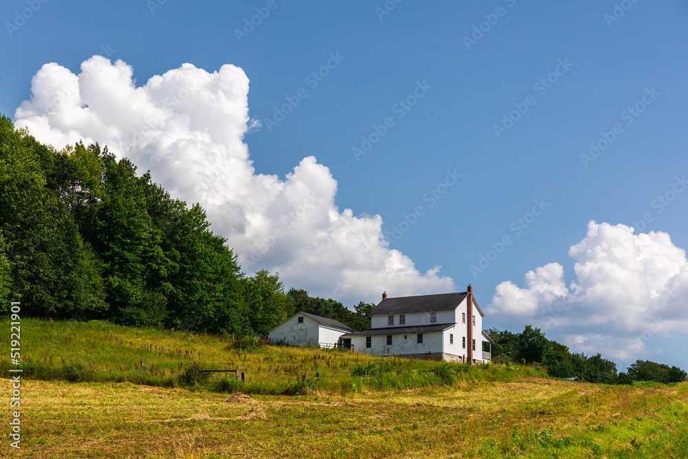 Amish farm house on a wooded hillside with a hay field in the foreground under a partially cloudy blue sky in the summer